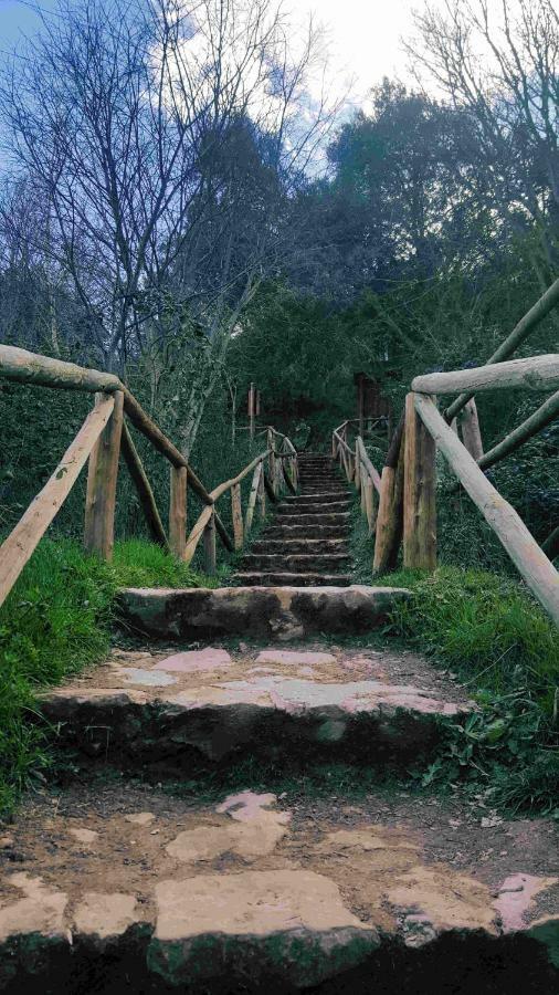 Casa Rural La Ossa Оса де Монтиел Екстериор снимка